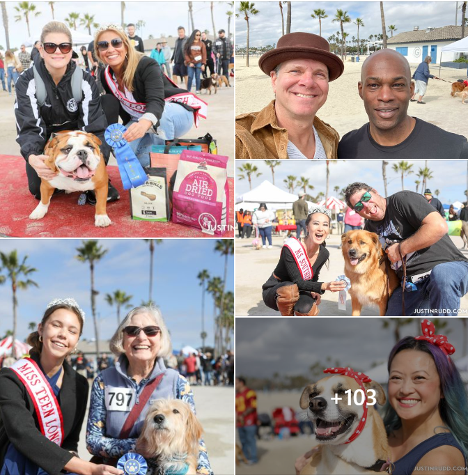 2022 Bulldog Beauty Contest & Haute Dogs Contests photos